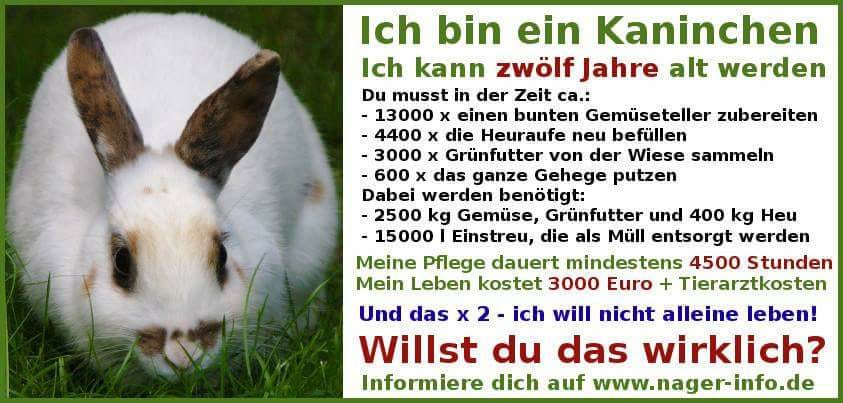 Bitte keine Tiere zu Ostern