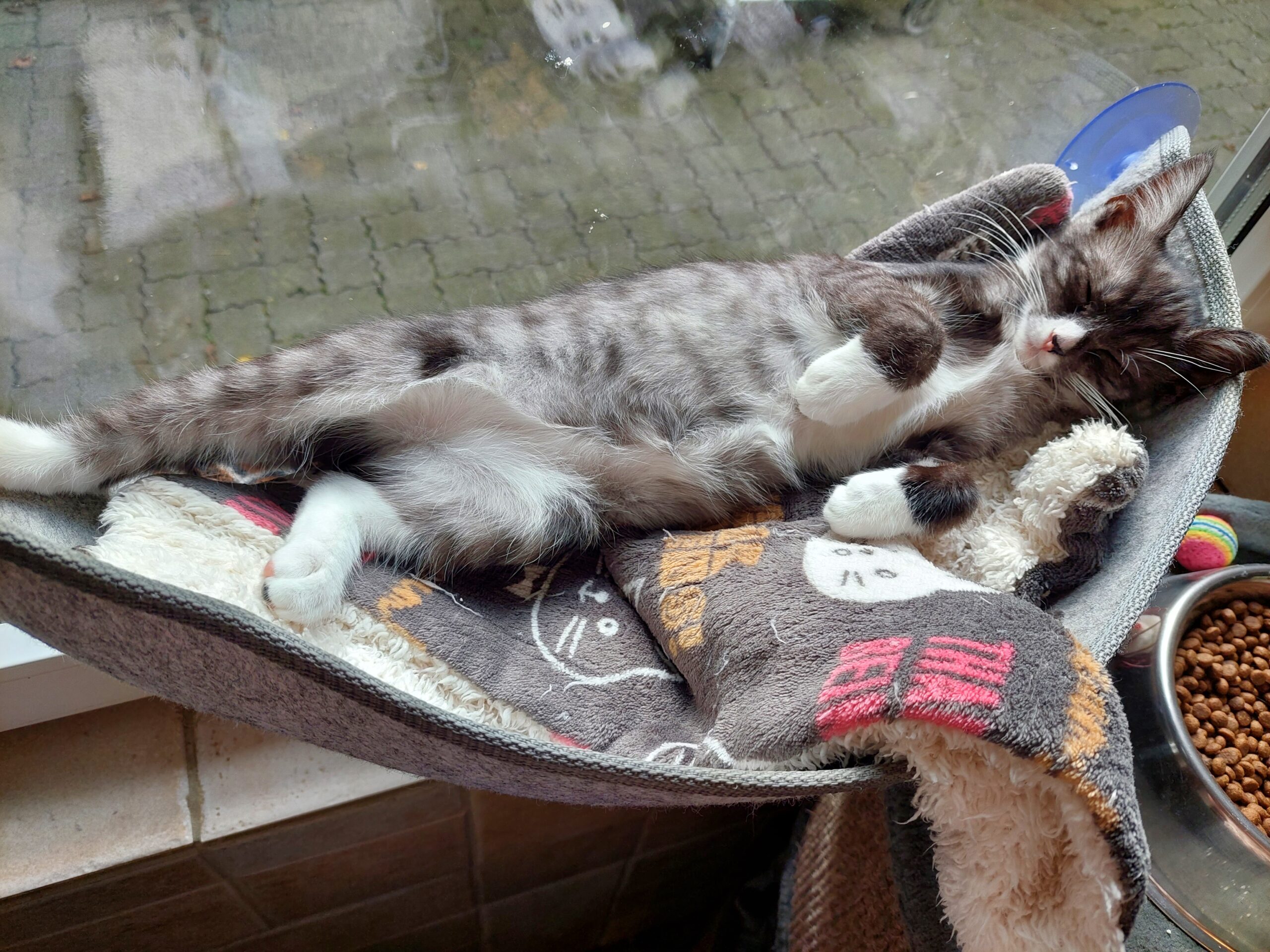 Hitze! Hitze! Hitze!
