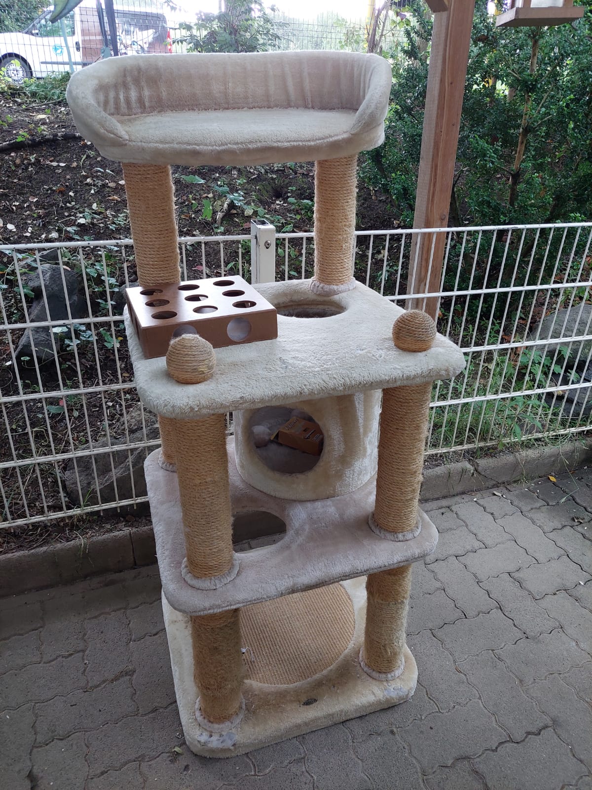 Vielen Dank für den Kratzbaum