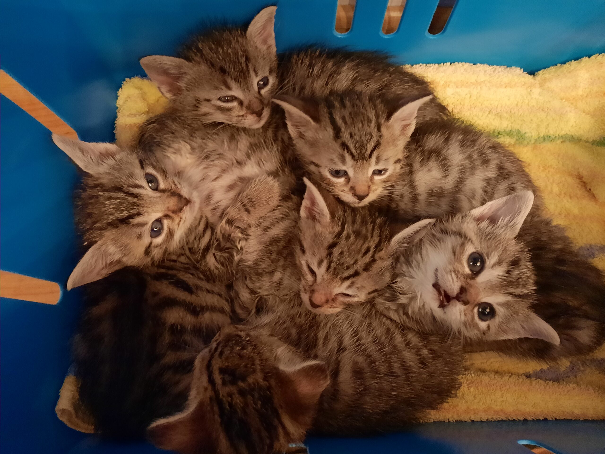 Wir sind schon sooo groß!
