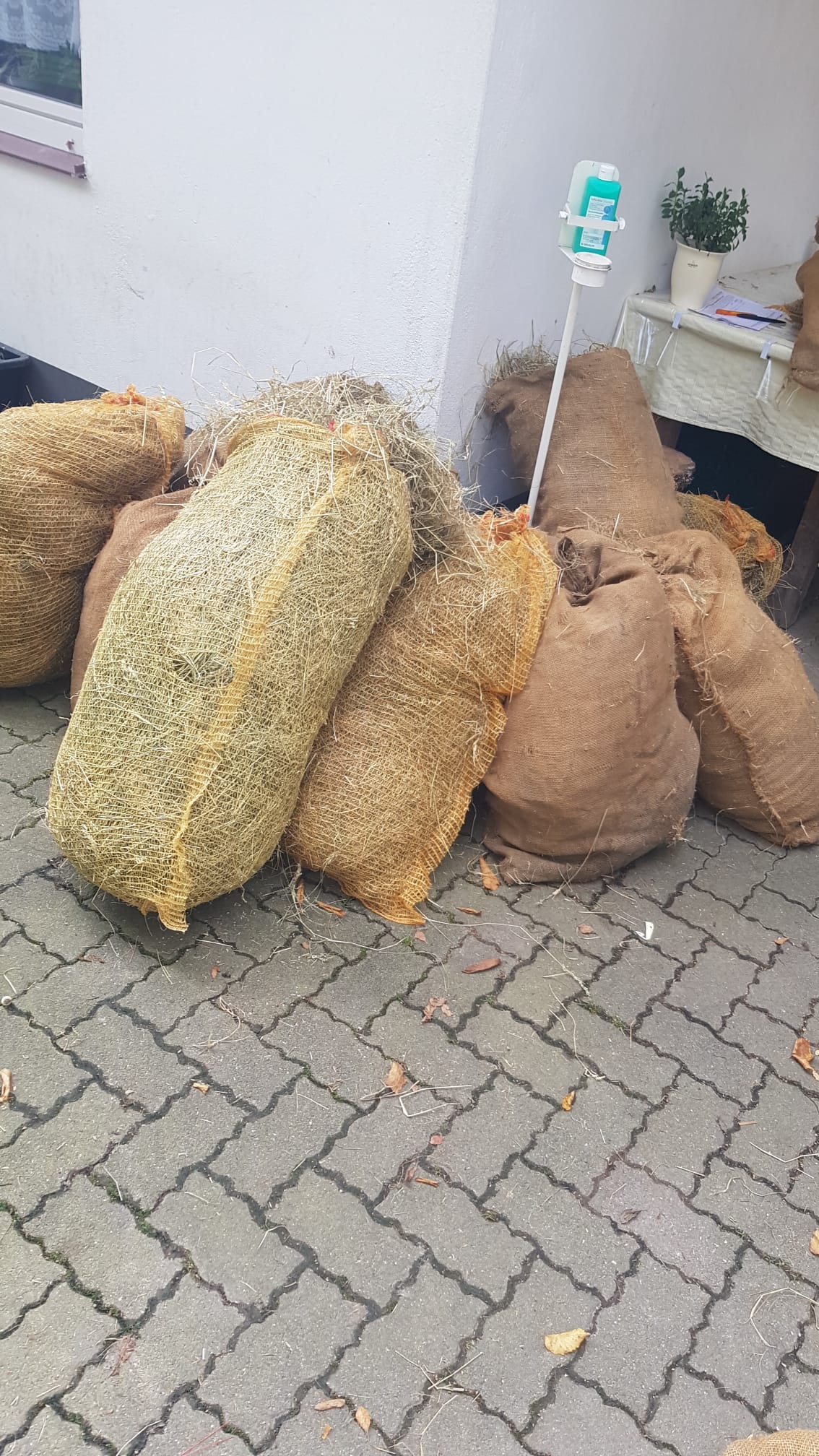 Tausend Dank!