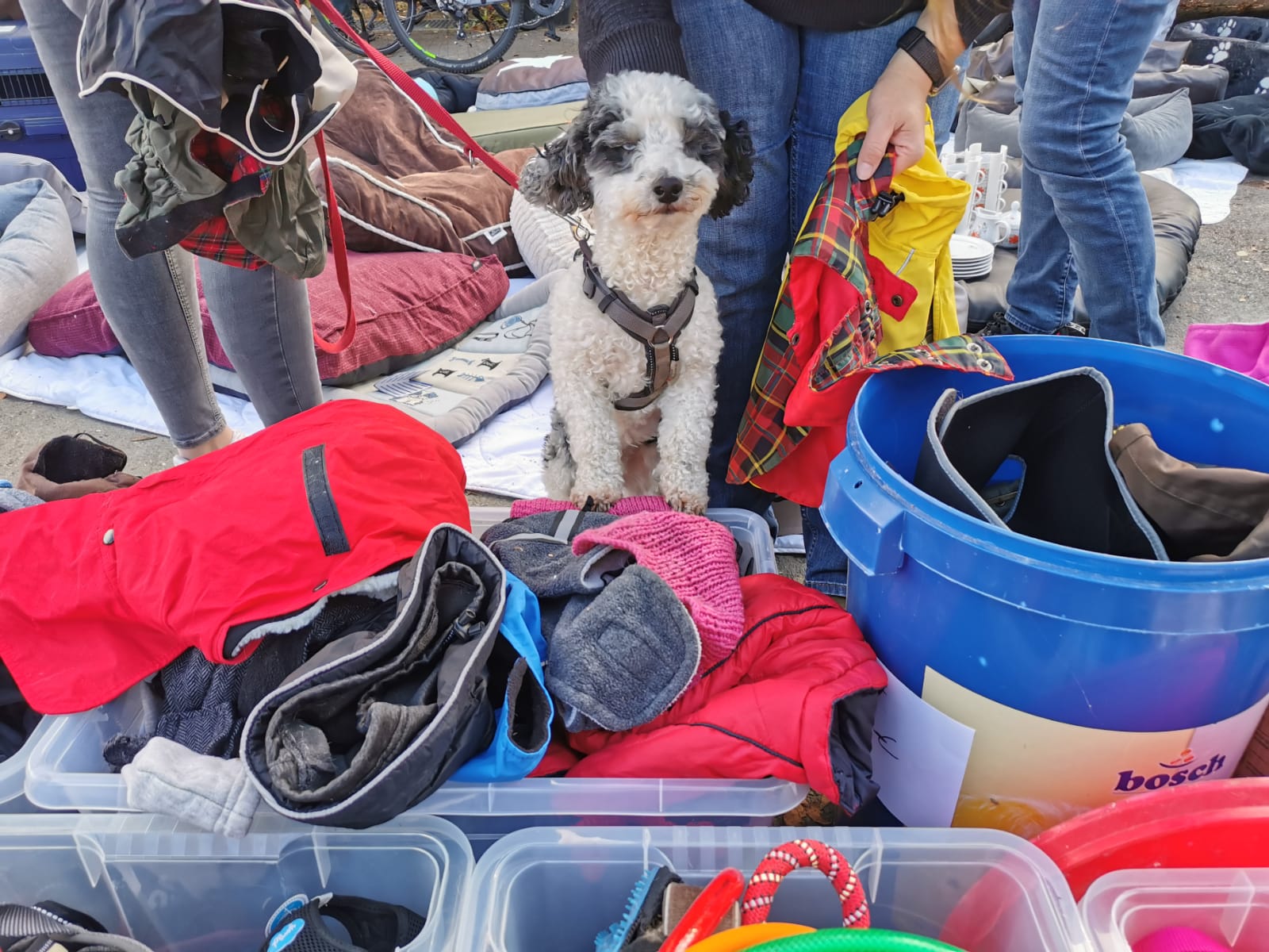 Unser Flohmarkt war ein voller Erfolg!