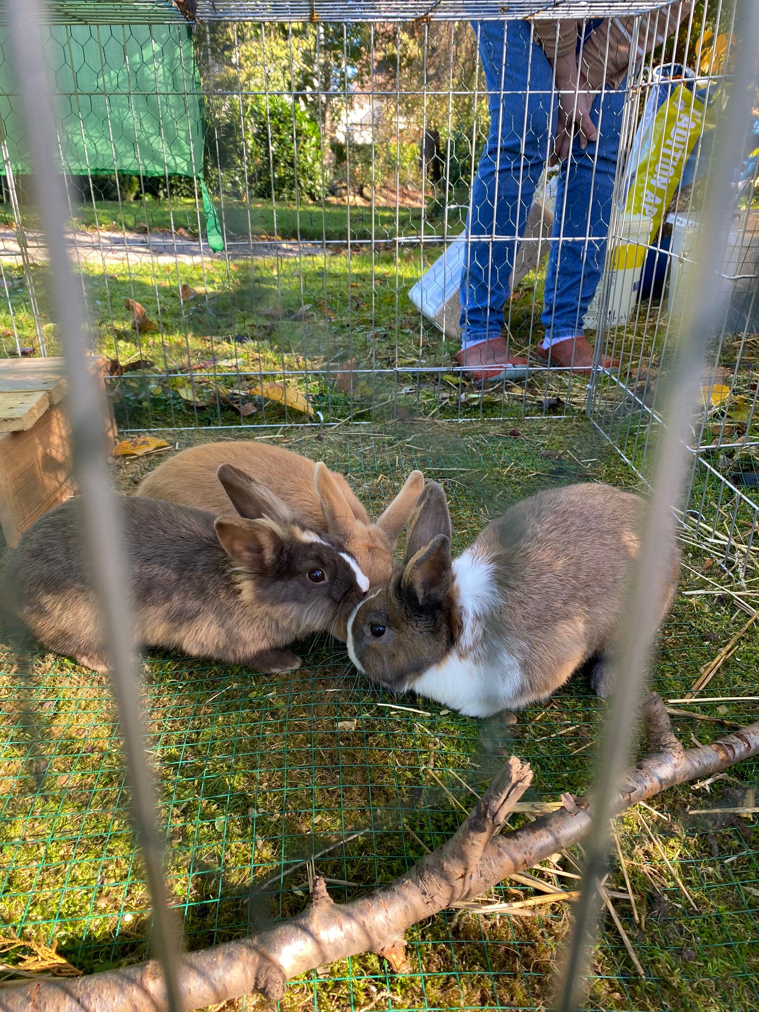 Wiedervereinigung mit Fridolin