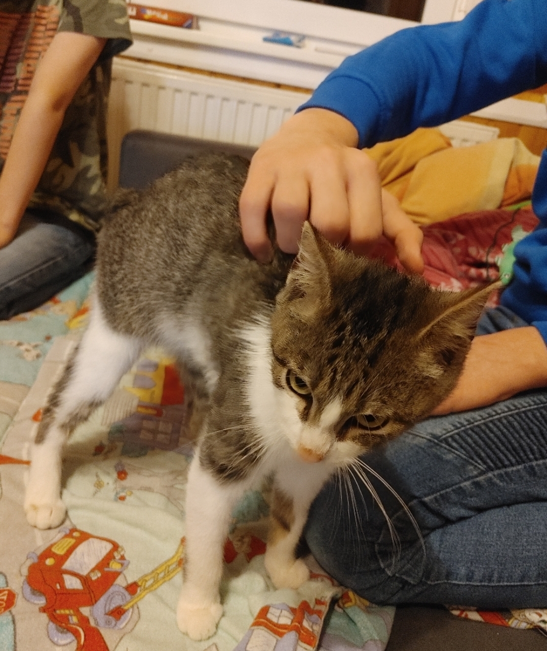 Joschi hat jetzt Brüder