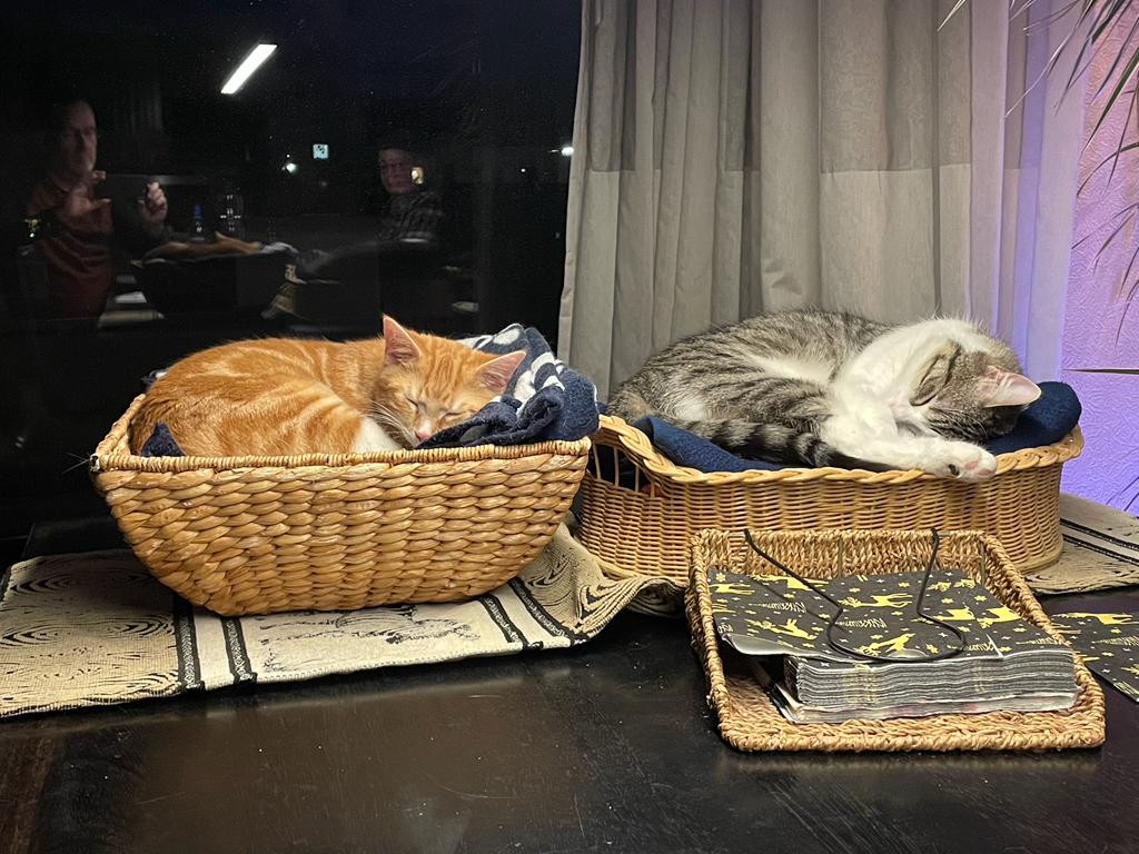 George hat eine neue Schwester