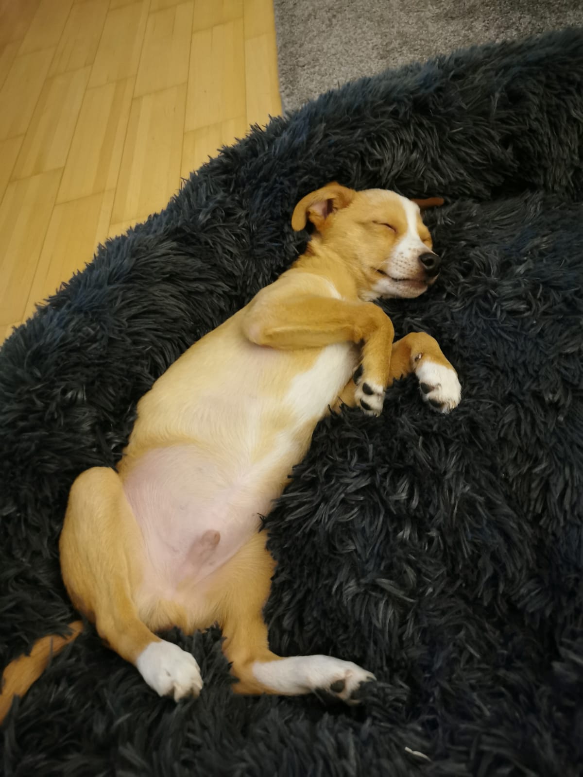 Abschied von Lupito