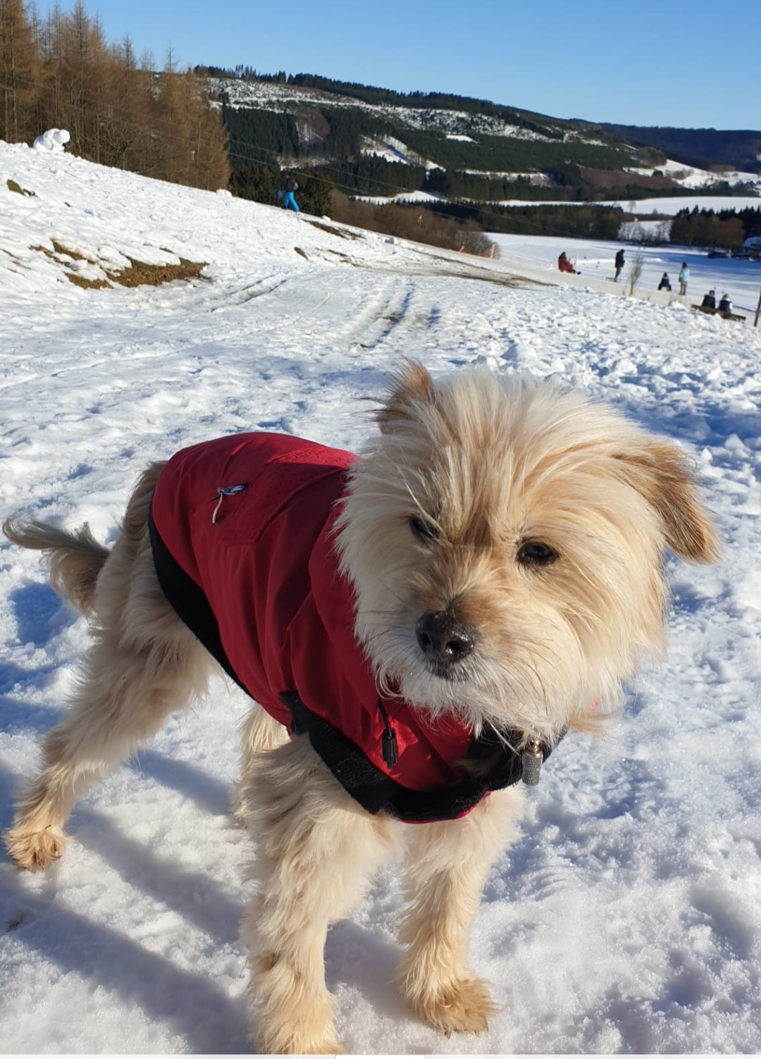 Bonnie’s neues Leben