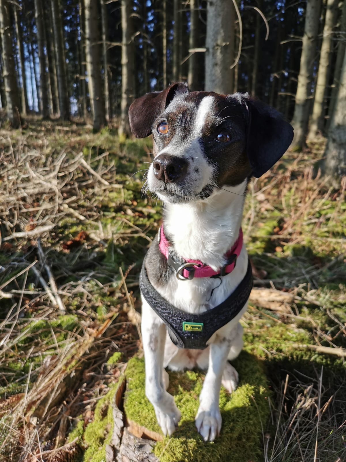 Luna im weltbesten Zuhause