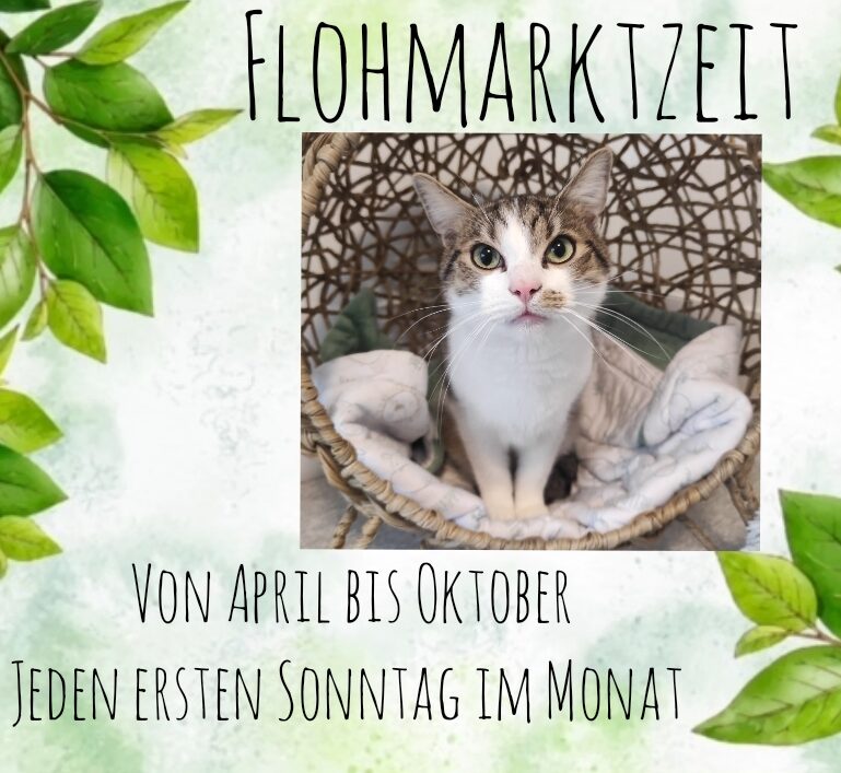 Flohmarktzeit