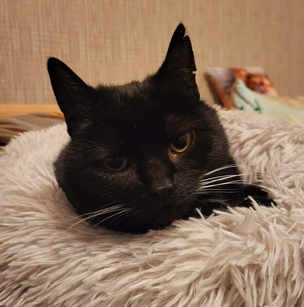 Freya im Glück