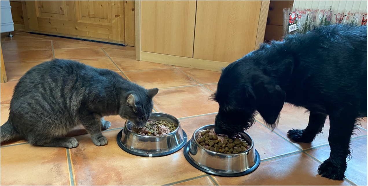 Luno und seine neuen Freunde