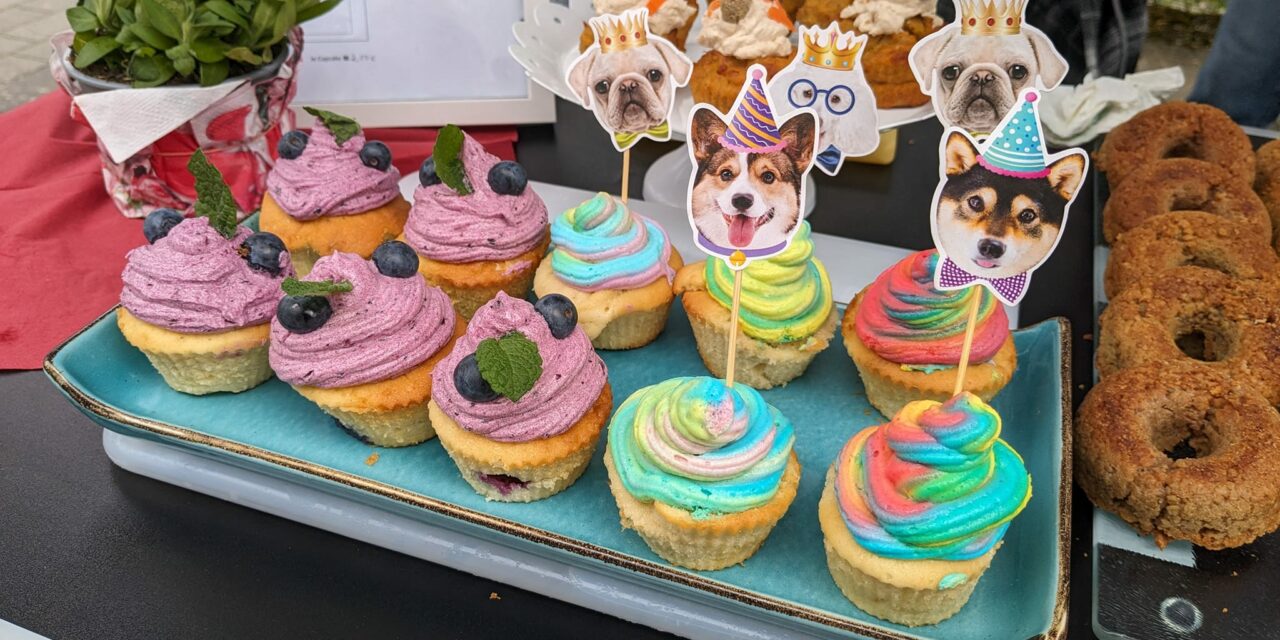 Stadtfest Meschede 2024