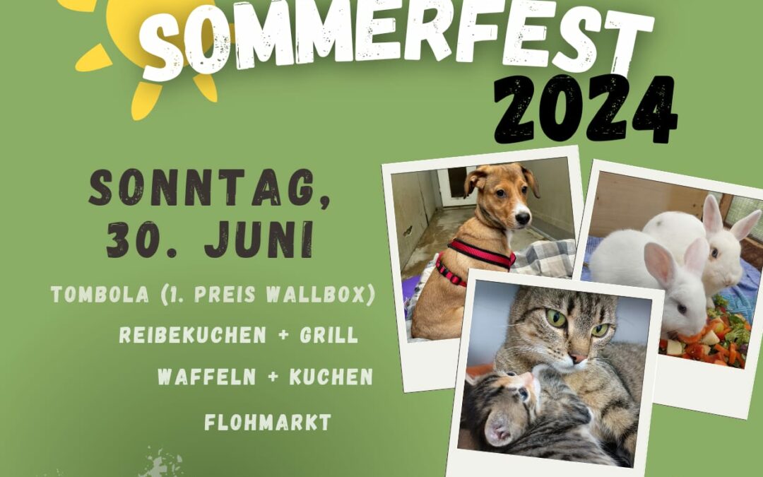 Sommerfest 2024