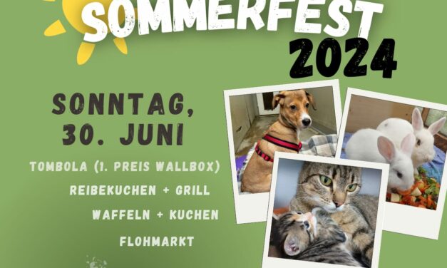 Sommerfest 2024