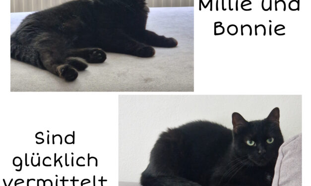 Milli und Bonnie sind endlich angekommen
