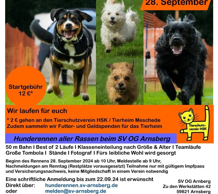 Hunderennen beim SV OG Arnsberg