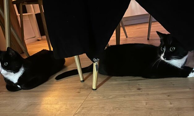 Semmel(Nemo) und Brösel(Sally)
