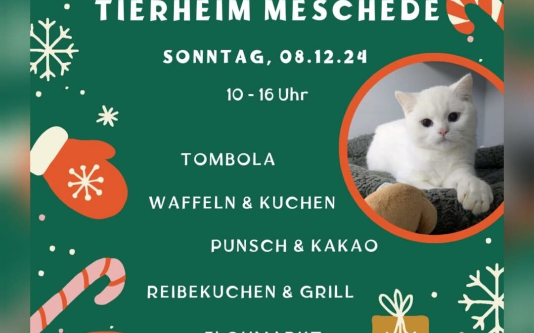 Winterfest 08.12.2024