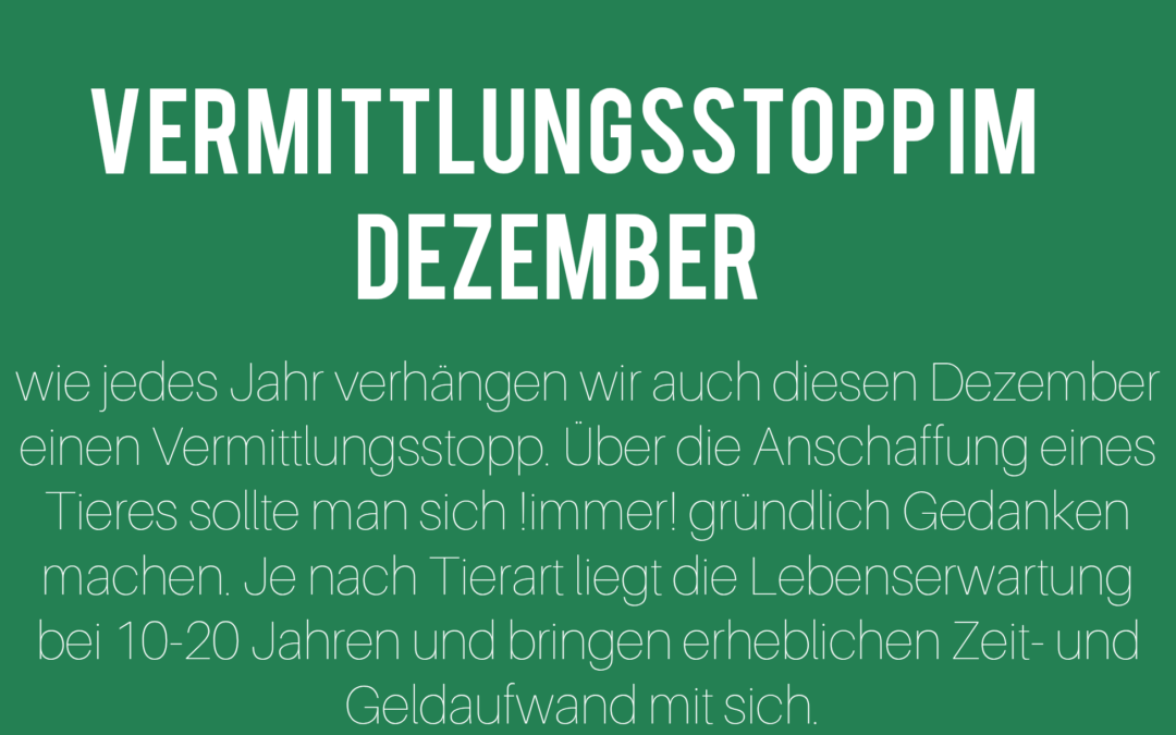 Vermittlungsstopp im Dezember