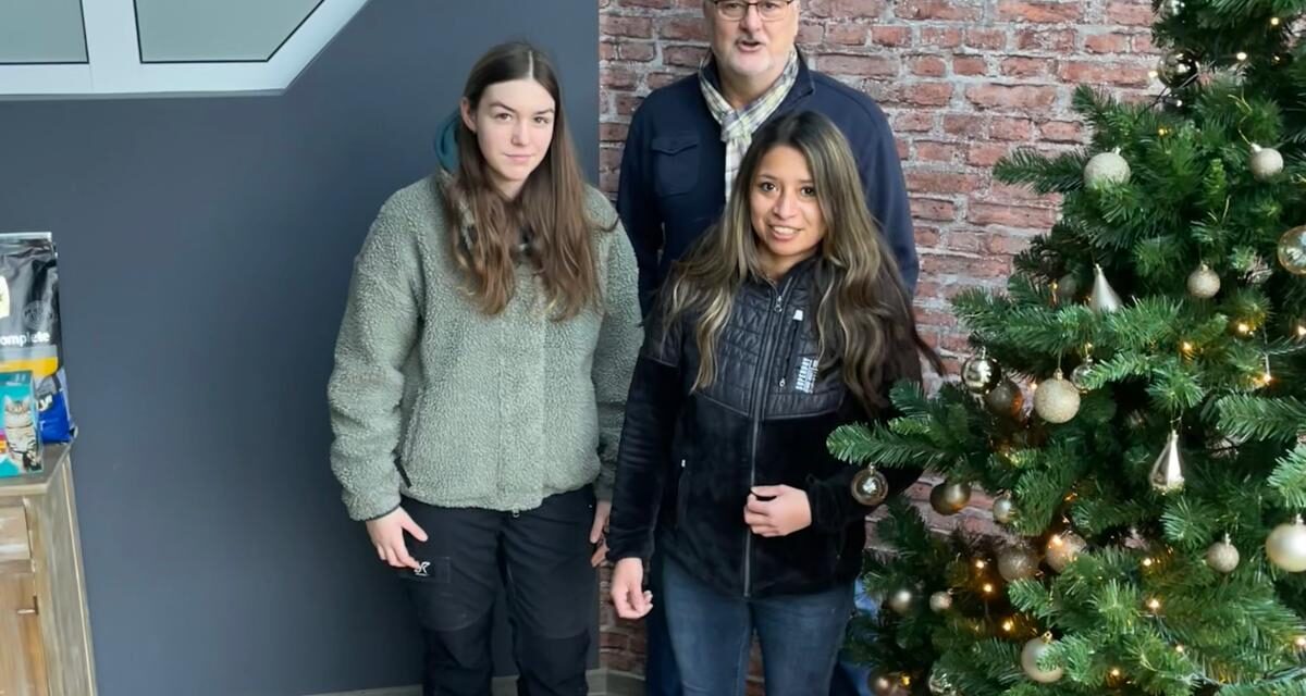 Weihnachten im Vitalwerk