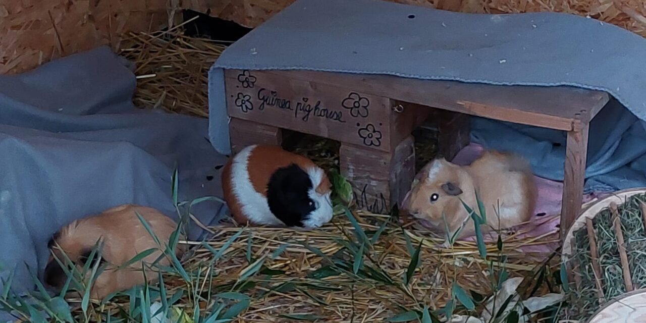 Wolfgang mit neuer Gang