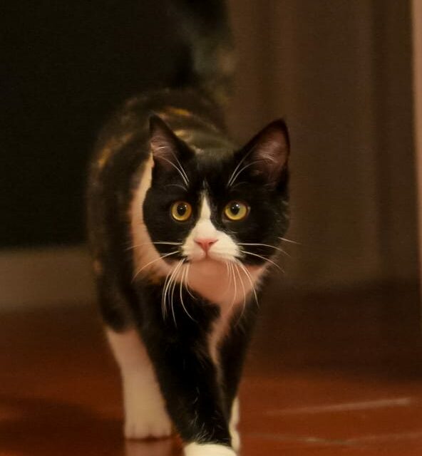 Tilda ist angekommen