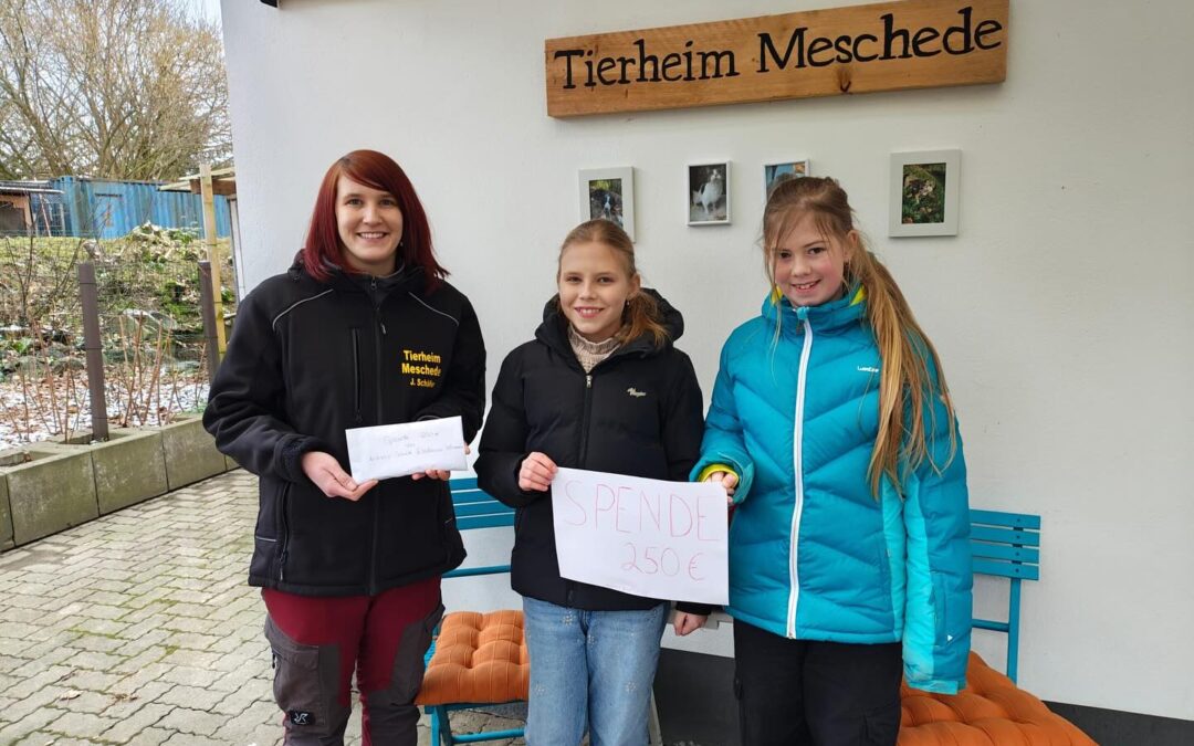 Danke an Antonia und Katharina