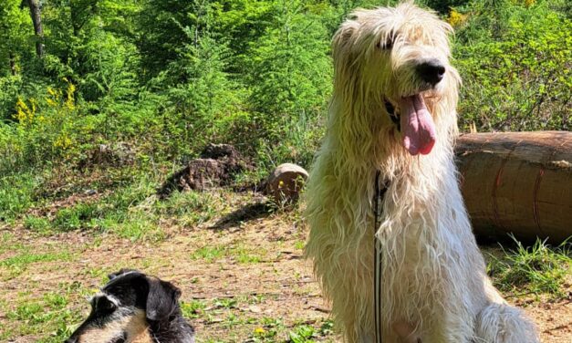 Elsa mit neuer Freundin