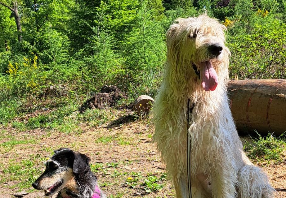 Elsa mit neuer Freundin
