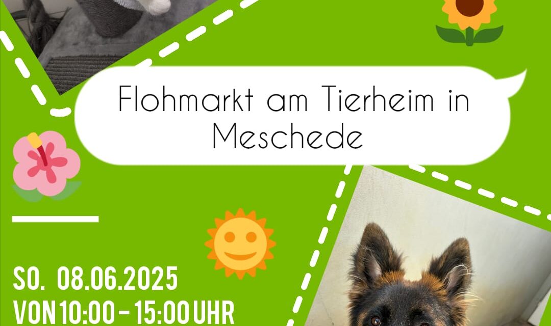 Flohmarkt am 08.06.2025
