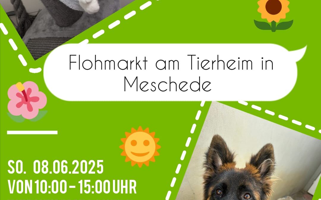 Flohmarkt am 08.06.2025