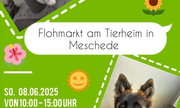 Flohmarkt am 08.06.2025