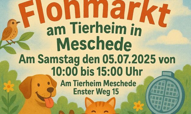 Flohmarkt am Tierheim