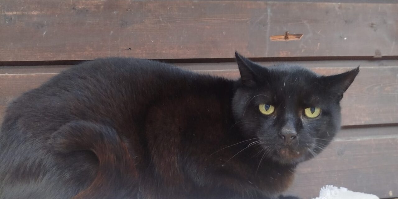 Tony