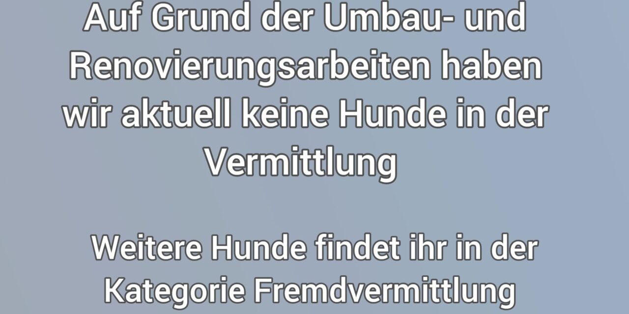 Hundevermittlung