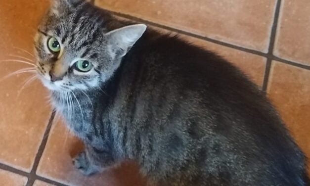Mia