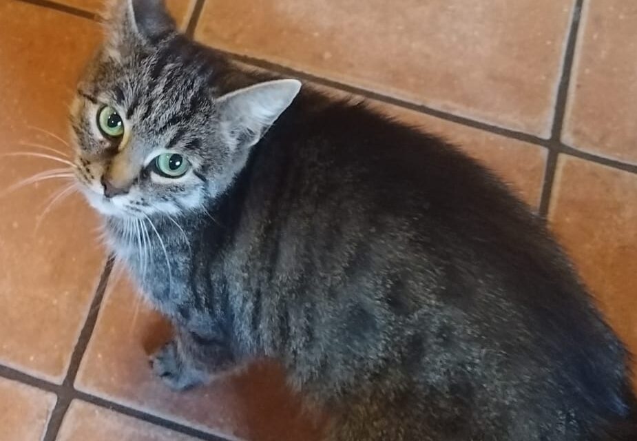 Mia