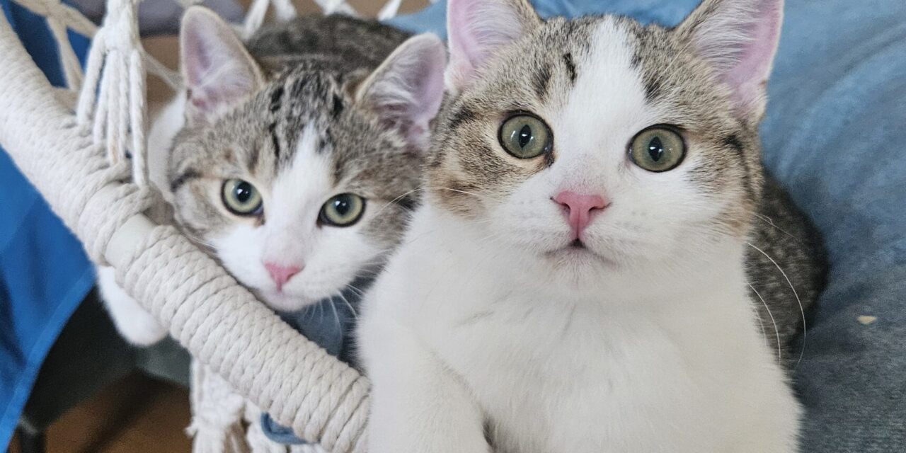 Ben und Jerry sind gut angekommen