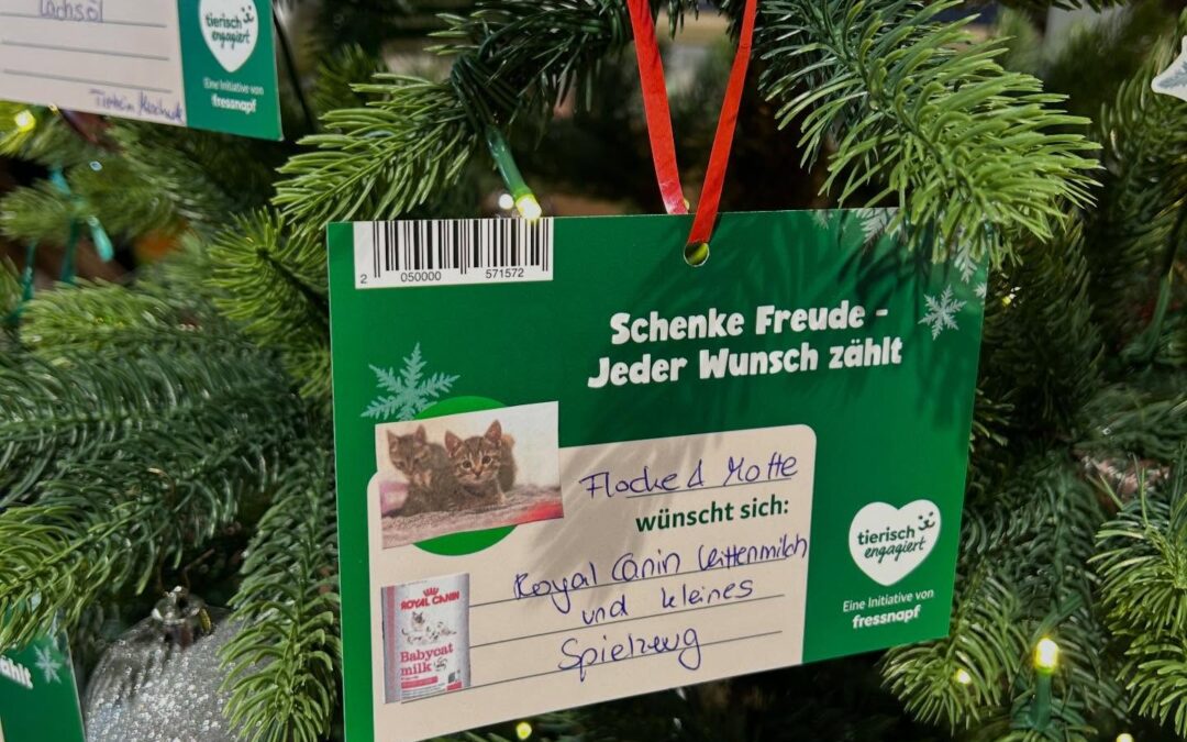 Weihnachtsbaum Aktionen 2025