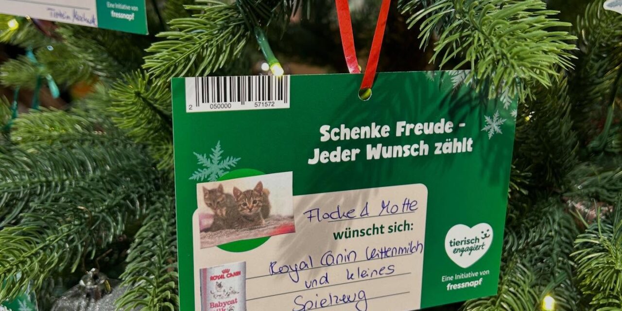 Weihnachtsbaum Aktionen 2025