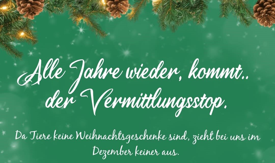 Vermittlungsstop im Dezember