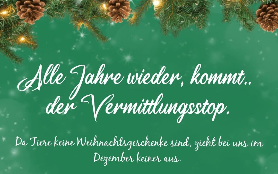 Vermittlungsstop im Dezember