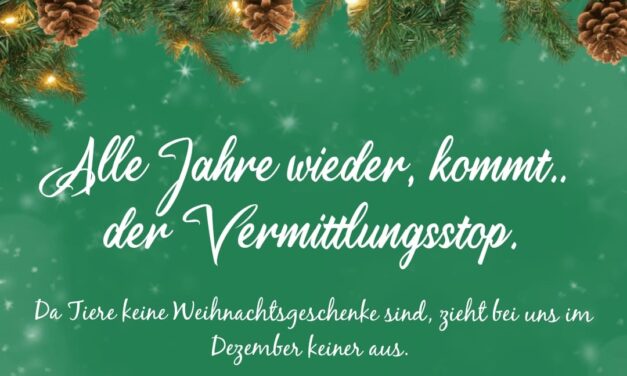 Vermittlungsstop im Dezember