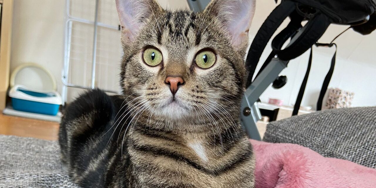 Neo ist aufgetaut und fühlt sich wohl