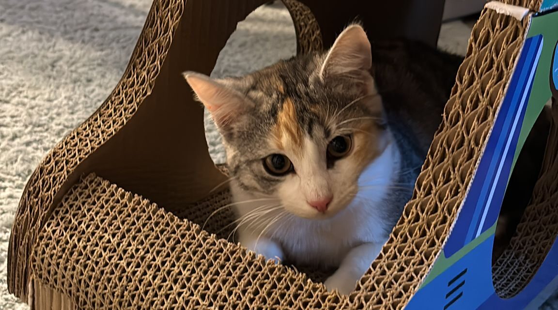 Adella sendet Grüße