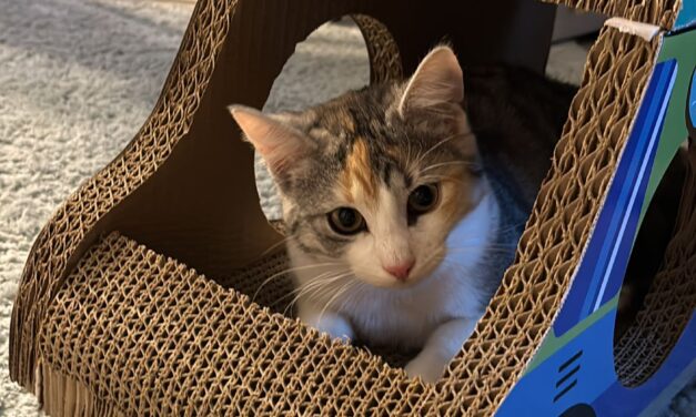 Adella sendet Grüße