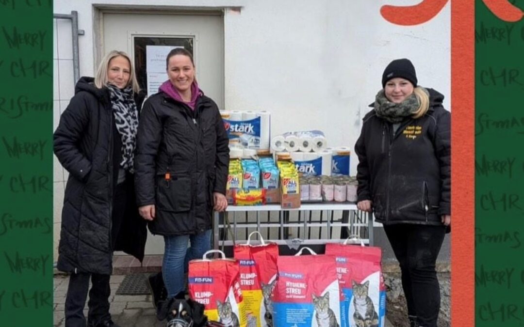 Mit Hund und Herz Kalenderaktion 2025