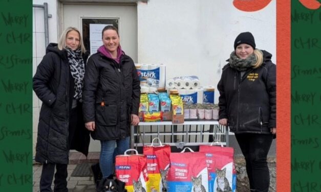 Mit Hund und Herz Kalenderaktion 2025