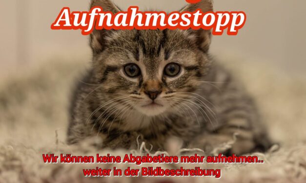 Achtung bitte Lesen!