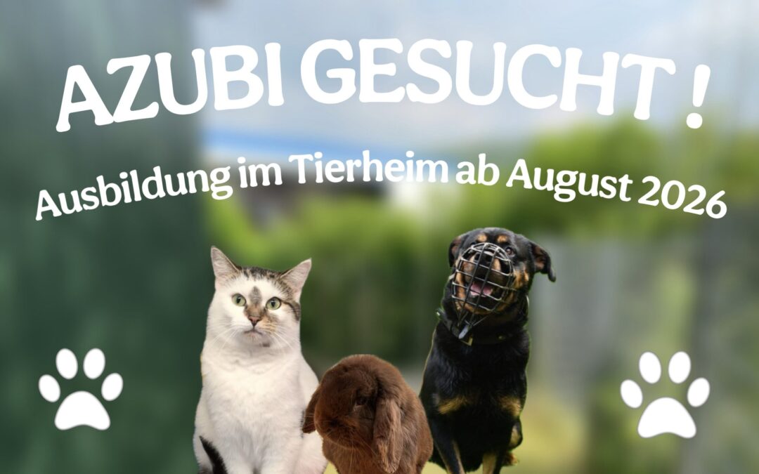 Werde Teil unseres Teams – Ausbildung ab August 2026